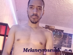 Melaneyrosesub