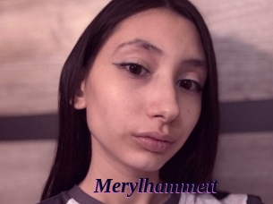 Merylhammett