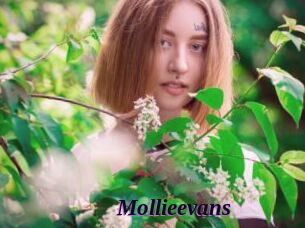 Mollieevans