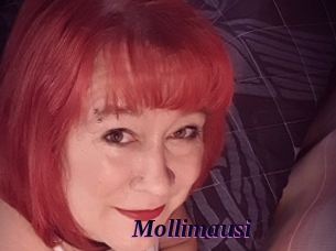 Mollimausi