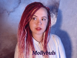 Mollybuls