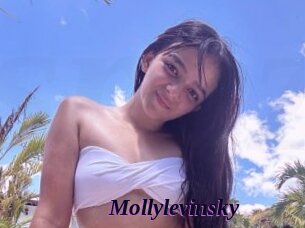 Mollylevinsky