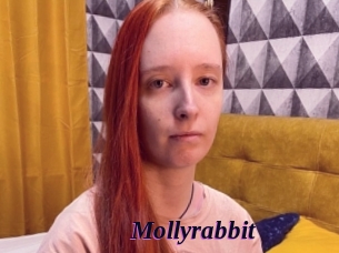 Mollyrabbit