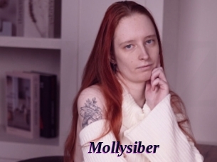 Mollysiber