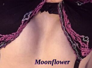 Moonflower