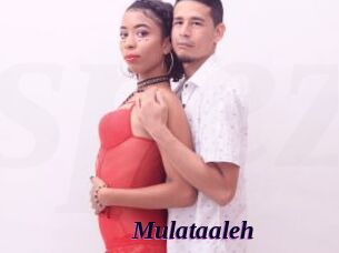 Mulataaleh