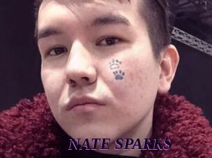 NATE_SPARKS