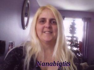 Nanabigtits
