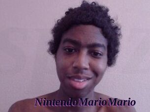 NintendoMarioMario