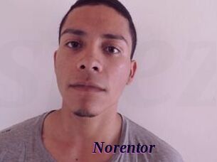 Noren_tor