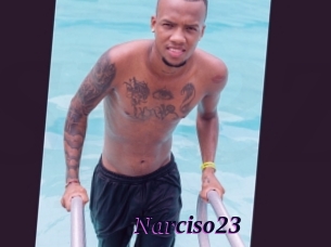 Narciso23