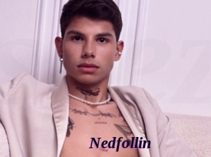 Nedfollin