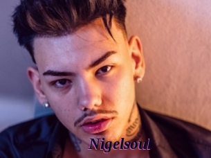 Nigelsoul