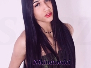 Nikinamodel