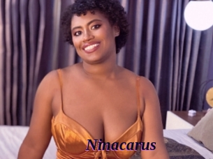 Ninacarus