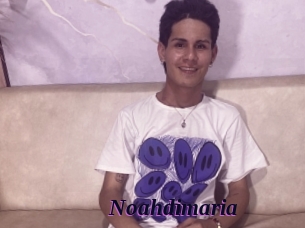 Noahdimaria