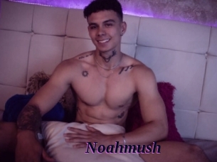 Noahmush