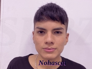 Nohascot