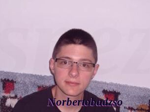Norbertobadzso