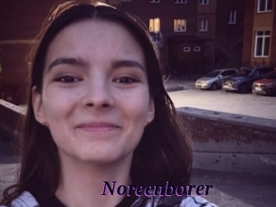 Noreenborer