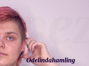 Odelindahamling