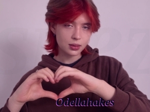 Odellahakes
