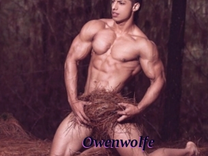 Owenwolfe