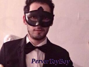 PerverToyBoy
