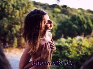 PhoenixBirdX