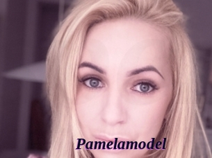 Pamelamodel