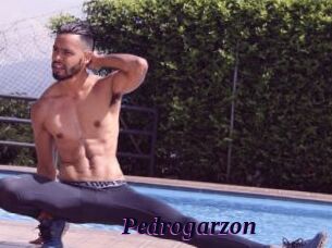 Pedrogarzon