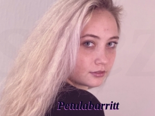 Petulabarritt