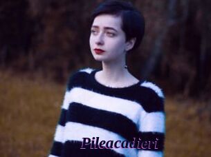 Pileacadieri