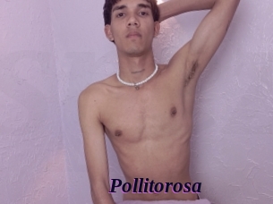 Pollitorosa