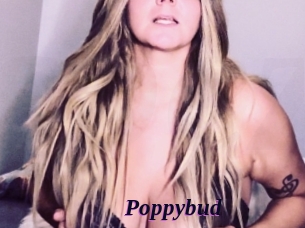 Poppybud