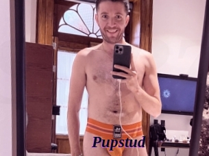 Pupstud