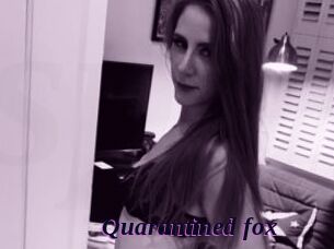 Quarantined_fox