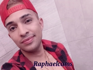 Raphaelcams