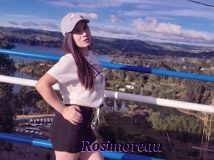 Rosimoreau