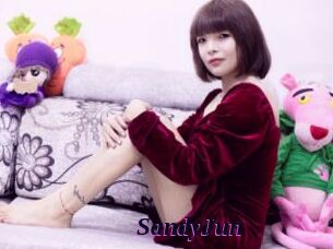 SandyJun