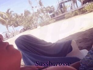 Sassharosse