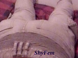 ShyFem