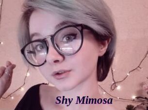 Shy_Mimosa