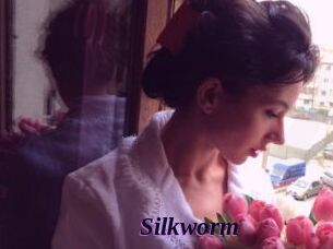 Silkworm