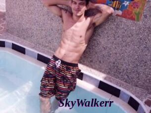 SkyWalkerr