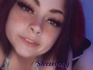 Sleezebagg