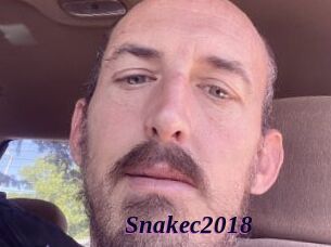 Snakec2018