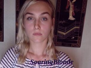 SoaringBlonde