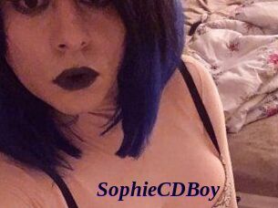 SophieCDBoy