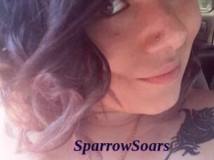 SparrowSoars